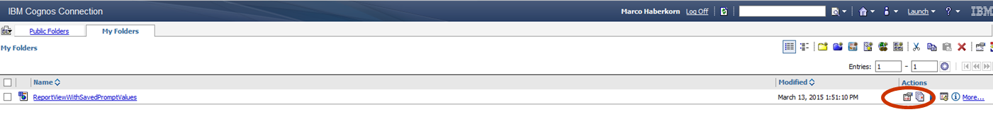 Cognos Connection Report View Properties